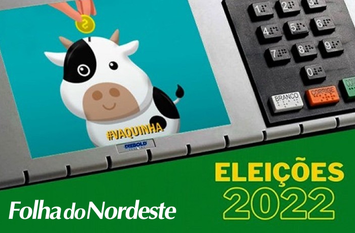 Lideranças de Lagoa Vermelha opinam sobre a Vaquinha Virtual nas eleições de 2022