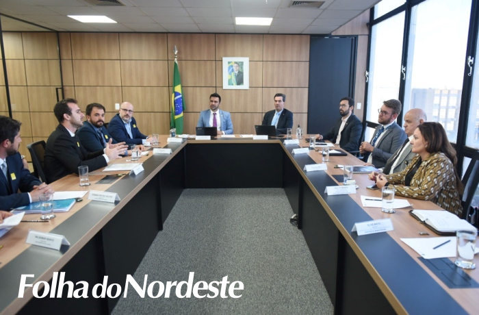 Lideranças de Lagoa Vermelha cumprem agenda em Brasília