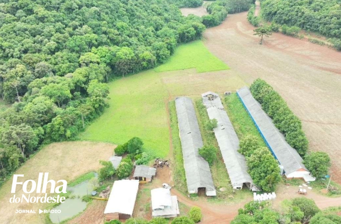 Polícia Ambiental investiga denúncia de desmatamento em Santa Cecília do Sul