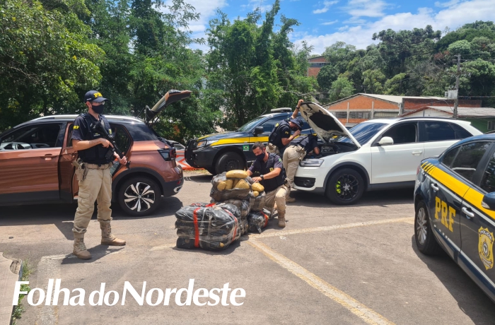 PRF prende quadrilha com quase 60 quilos de skunk