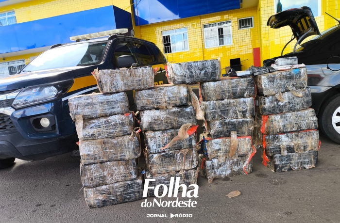 Polícia Rodoviária Federal apreende quase 400 quilos de maconha e medicamentos ilegais em Passo Fundo