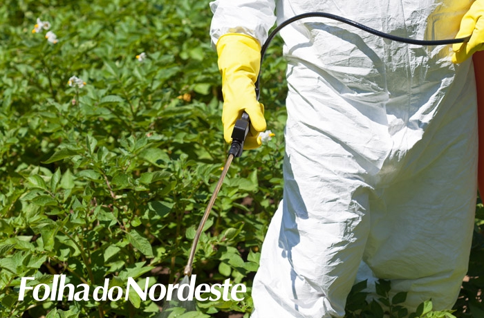 Saúde de Capão Bonito do Sul realizará evento voltado à saúde do agricultor
