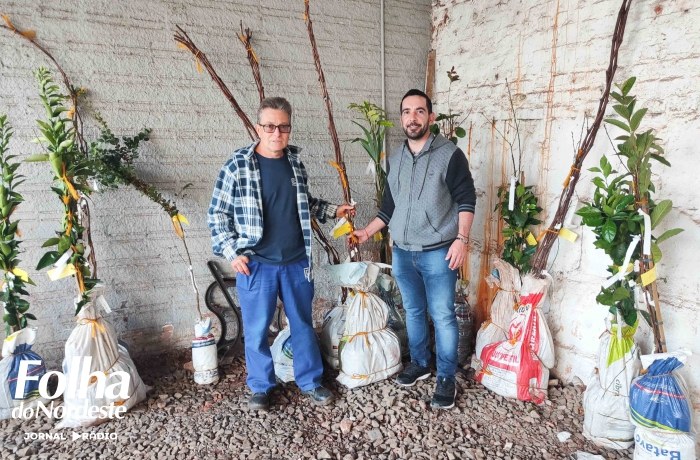 Está aberto novo prazo para pedido de mudas frutíferas em Lagoa Vermelha