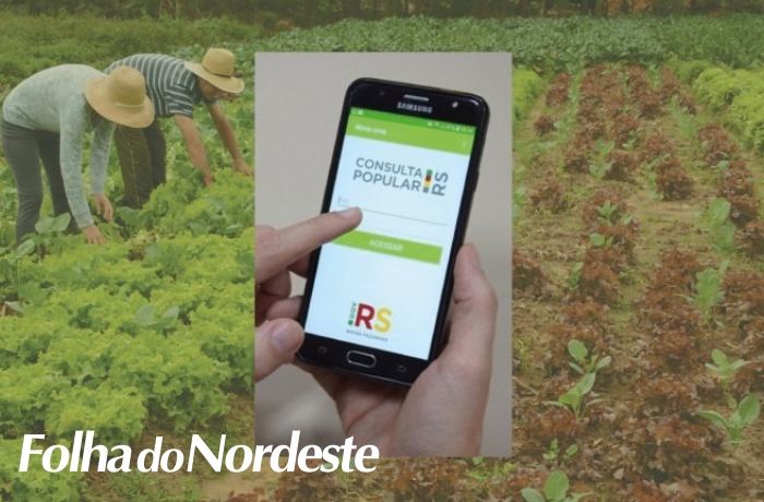 Projetos de agricultura estão em destaque na Consulta Popular que inicia nesta segunda (14)