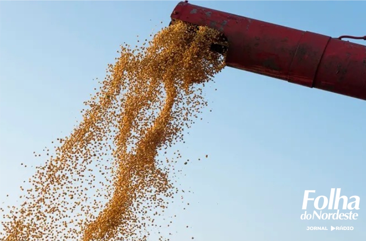 Exportações do agronegócio gaúcho atingem US$ 16,2 bilhões em 2023, maior valor da série histórica