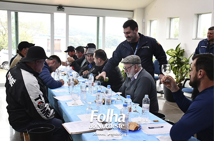 Mostra de Vinhos Artesanais valoriza produção e tradição em Caseiros