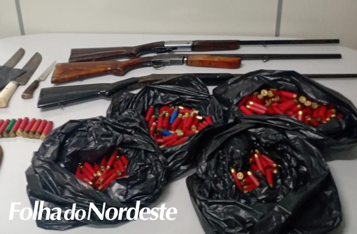 Brigada Militar prende dois homens por porte ilegal de arma em Muitos Capões