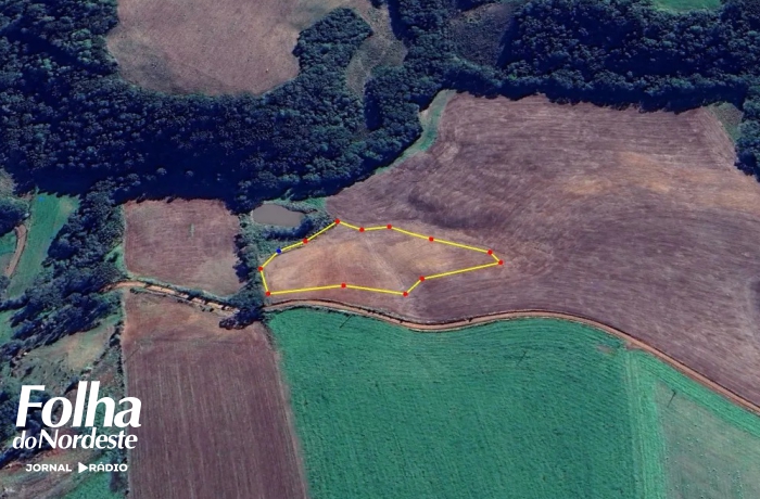 Brigada Militar flagra destruição de vegetação nativa em Santo Expedito do Sul