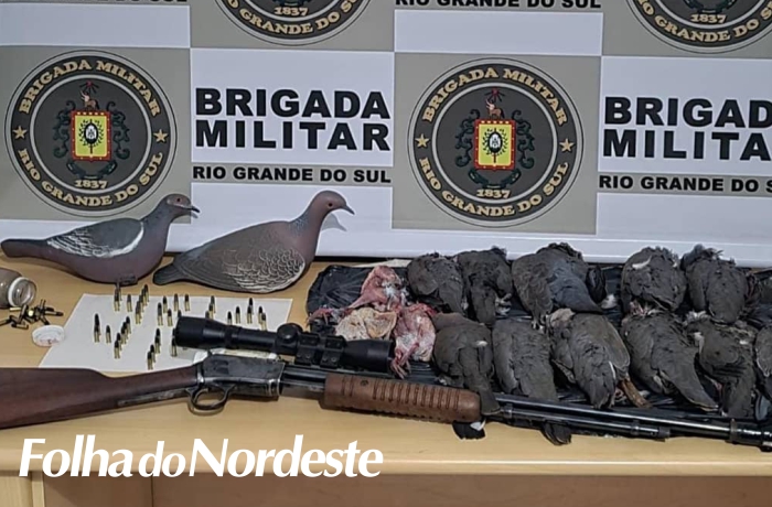 Apreensão de arma e animais silvestres abatidos é efetuada pela Brigada de Maximiliano de Almeida