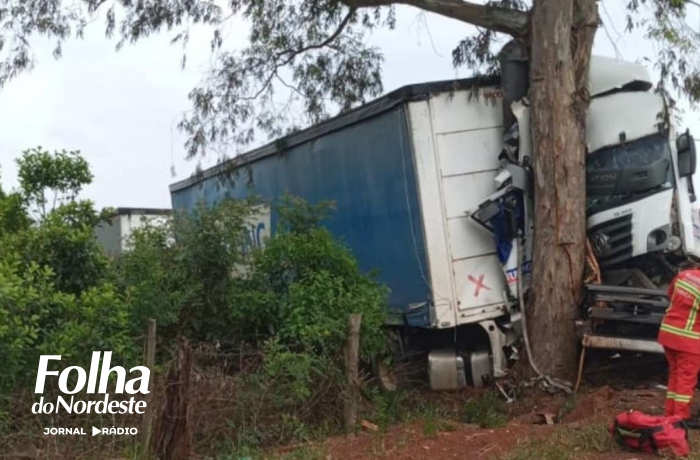 Carreta sai da pista e colide contra árvore na BR-470, em Barracão