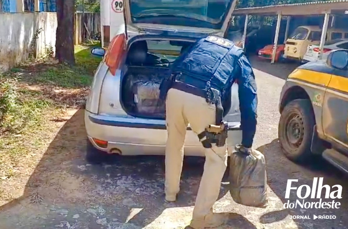 PRF prende contrabandista com mais de meia tonelada de agrotóxicos ilegais em Passo Fundo 
