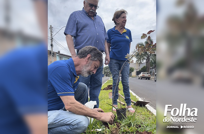 Rotary Clube de Lagoa Vermelha se prepara para receber a governadora do Distrito 4700, Ana Cristina Baggio