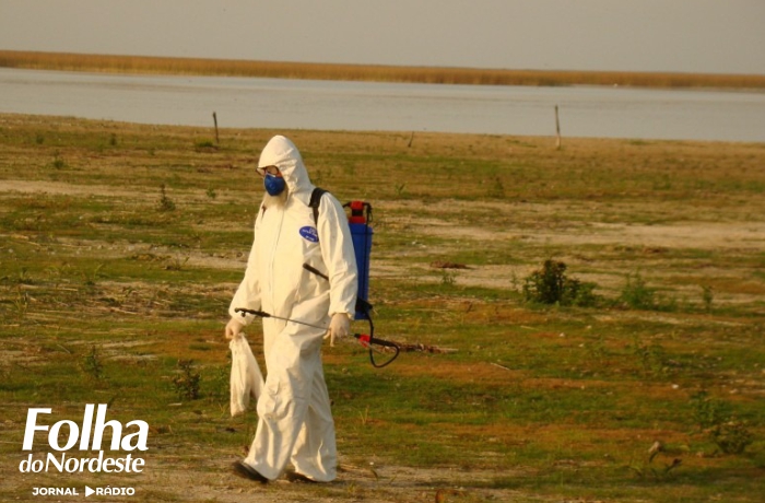 Estado está há 21 dias sem registro de morte de mamíferos aquáticos por gripe aviária
