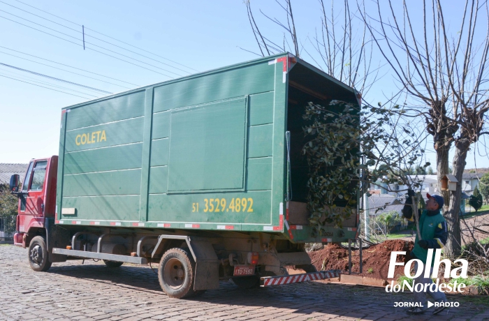 Secretaria da Agricultura divulga cronograma de podas e recolhimento de galhos