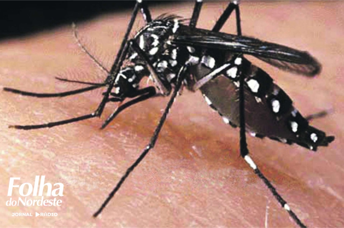 São José do Ouro confirma três casos de dengue e intensifica ações de combate
