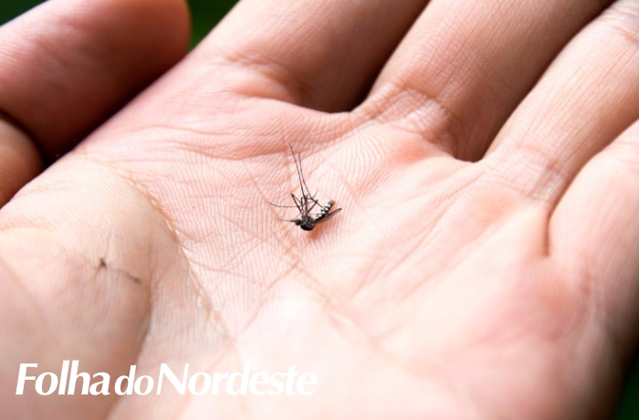 Secretaria da Saúde aprova criação de centro de operações de doenças transmitidas pelo Aedes aegypti