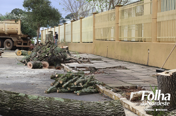 Secretaria de Obras de Ibiraiaras inicia reforma do passeio público 