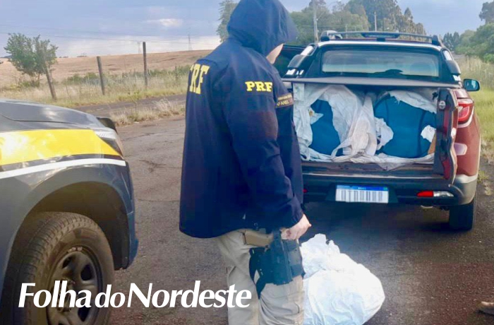 PRF apreende caminhonete com 400 quilos de agrotóxicos ilegais