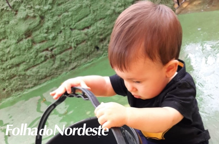 Em casa para cuidar, aprender e ensinar