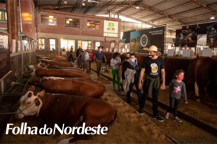 Clima de retomada é a marca dos primeiros dias da Expointer 2021