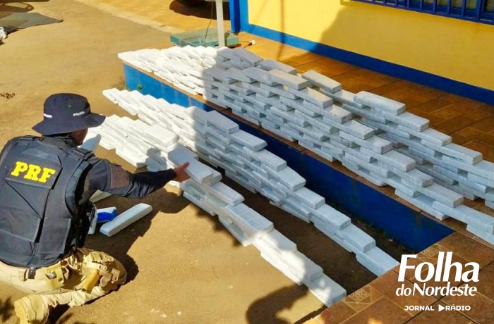 PRF prende traficante com mais de 250 quilos de maconha em um Gol roubado 